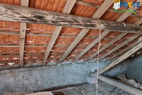 Farm i Serta, Castelo Branco, Serta - € 55.000 | Ref: AS117 - foto 36