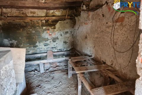 Farm i Serta, Castelo Branco, Serta - € 55.000 | Ref: AS117 - foto 37