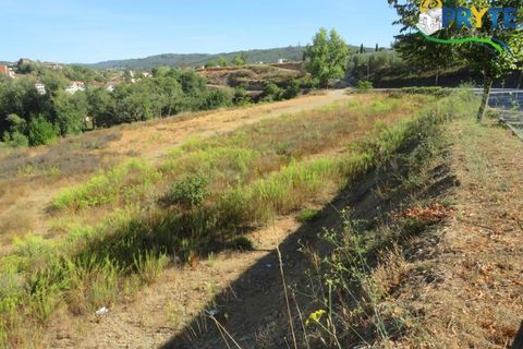 Helårsgrund i Serta, Castelo Branco, Serta - € 450.000 | Ref: VF236 - foto 1