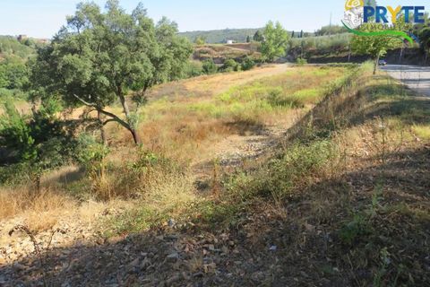 Helårsgrund i Serta, Castelo Branco, Serta - € 450.000 | Ref: VF236 - foto 3