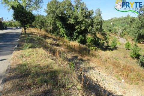Helårsgrund i Serta, Castelo Branco, Serta - € 450.000 | Ref: VF236 - foto 4