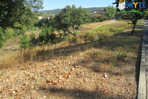 Helårsgrund i Serta, Castelo Branco, Serta - € 450.000 | Ref: VF236 - foto 5