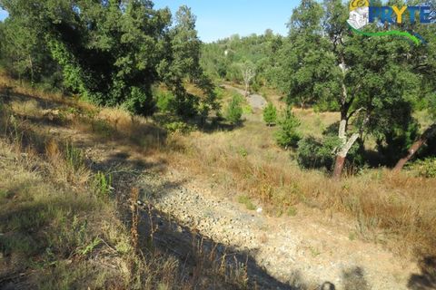 Helårsgrund i Serta, Castelo Branco, Serta - € 450.000 | Ref: VF236 - foto 6