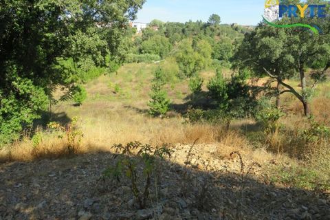 Helårsgrund i Serta, Castelo Branco, Serta - € 450.000 | Ref: VF236 - foto 7