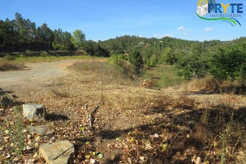 Helårsgrund i Serta, Castelo Branco, Serta - € 450.000 | Ref: VF236 - foto 8