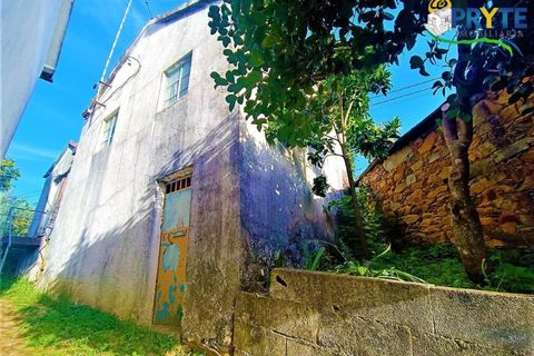 Landejendom i Castelo Branco, Castelo Branco, Castelo Branco - € 32.000 | Ref: MG116 - foto 3