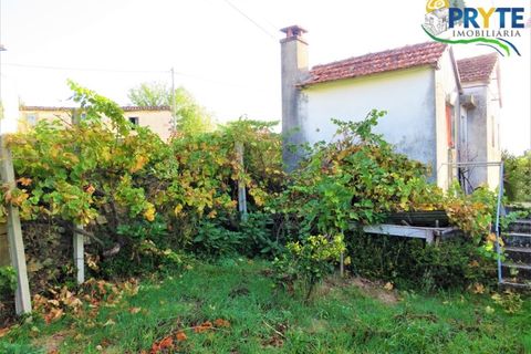 Landejendom i Castelo Branco, Castelo Branco, Castelo Branco - € 32.000 | Ref: MG116 - foto 16