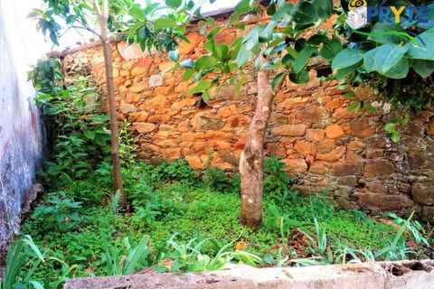 Landejendom i Castelo Branco, Castelo Branco, Castelo Branco - € 32.000 | Ref: MG116 - foto 18