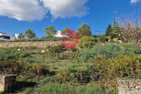 Helårsgrund i Viseu, Viseu, Viseu - € 100.000 | Ref: VM2094 - foto 3
