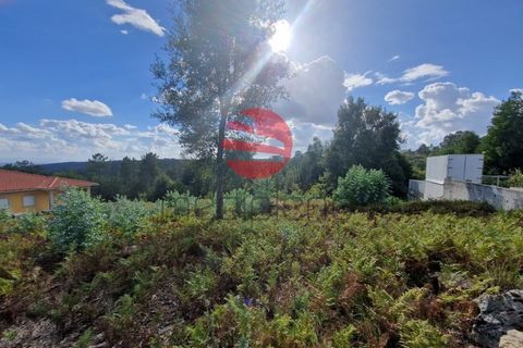 Helårsgrund i Cavernaes, Viseu, Cavernaes - € 65.000 | Ref: VM2093 - foto 3