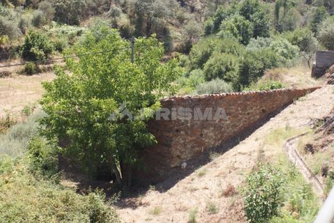 Byhus i Fundao, Castelo Branco, Fundao - € 24.000 | Ref: PP4007 - foto 8