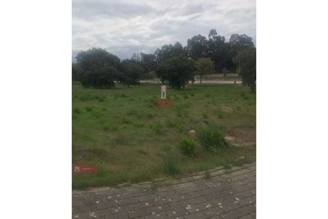 Helårsgrund i Entroncamento, Santarem, Entroncamento - € 31.150 | Ref: TPH225-03 - foto 6