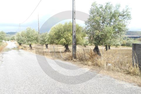 Terra a Alcanena, Santarem, Alcanena - € 45.000 | Ref: 1780-02671 - foto 2