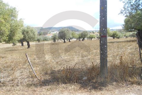 Terra a Alcanena, Santarem, Alcanena - € 45.000 | Ref: 1780-02671 - foto 3