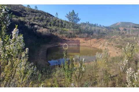 Helårsgrund i Monchique, Faro, Monchique - € 65.000 | Ref: GC 17497GC - foto 2