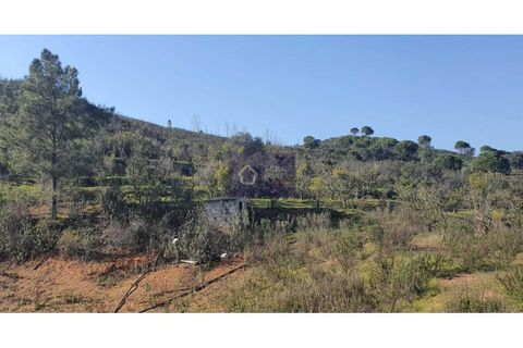 Helårsgrund i Monchique, Faro, Monchique - € 65.000 | Ref: GC 17497GC - foto 3