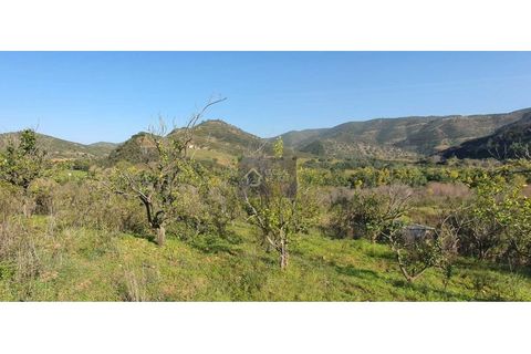 Helårsgrund i Monchique, Faro, Monchique - € 65.000 | Ref: GC 17497GC - foto 5