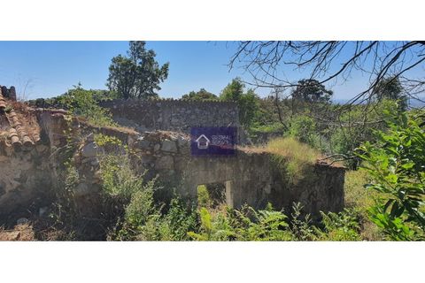 Helårsgrund i Monchique, Faro, Monchique - € 180.000 | Ref: GS17458 GC - foto 3