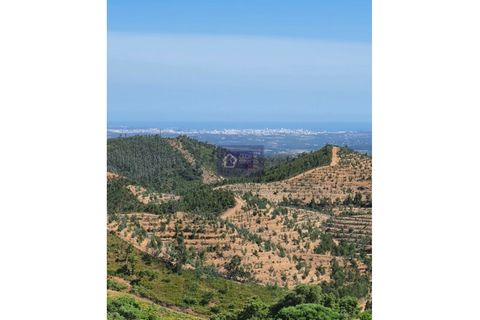 Helårsgrund i Monchique, Faro, Monchique - € 30.000 | Ref: GS17425GC - foto 16