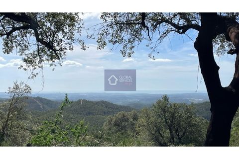Helårsgrund i Monchique, Faro, Monchique - € 30.000 | Ref: GS17425GC - foto 5