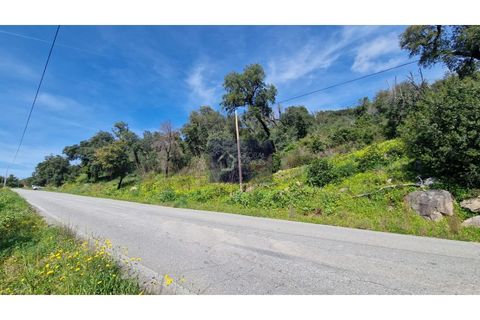 Helårsgrund i Monchique, Faro, Monchique - € 30.000 | Ref: GS17425GC - foto 4