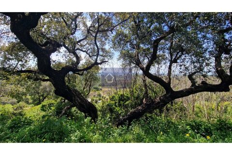 Helårsgrund i Monchique, Faro, Monchique - € 30.000 | Ref: GS17425GC - foto 8