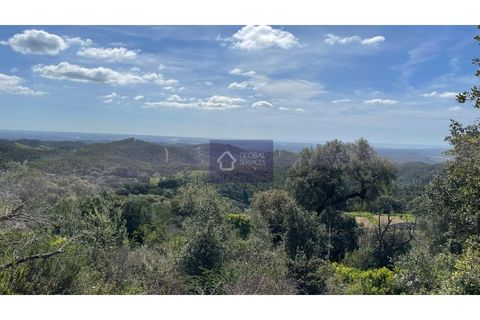Helårsgrund i Monchique, Faro, Monchique - € 30.000 | Ref: GS17425GC - foto 10