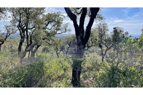 Helårsgrund i Monchique, Faro, Monchique - € 30.000 | Ref: GS17425GC - foto 11
