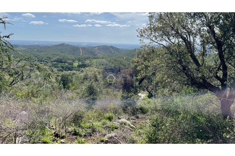 Helårsgrund i Monchique, Faro, Monchique - € 30.000 | Ref: GS17425GC - foto 13
