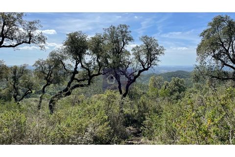 Helårsgrund i Monchique, Faro, Monchique - € 30.000 | Ref: GS17425GC - foto 15