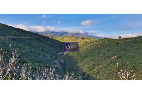 Helårsgrund i Monchique, Faro, Monchique - € 148.000 | Ref: GS17414GC - foto 7