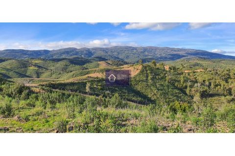 Helårsgrund i Monchique, Faro, Monchique - € 148.000 | Ref: GS17414GC - foto 2