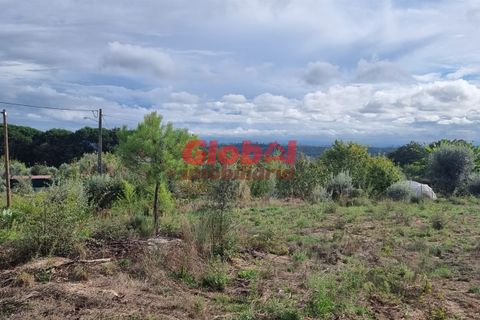 Helårsgrund i Tondela, Viseu, Tondela - € 50.000 | Ref: 189222340 - foto 2