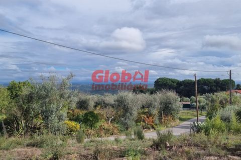 Helårsgrund i Tondela, Viseu, Tondela - € 50.000 | Ref: 189222340 - foto 3