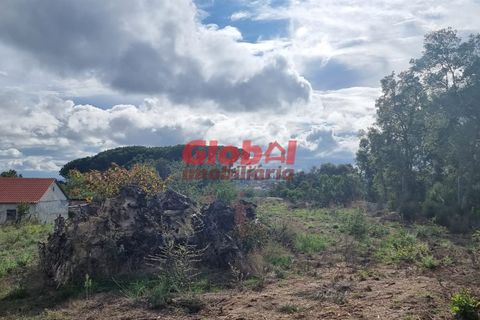 Helårsgrund i Tondela, Viseu, Tondela - € 50.000 | Ref: 189222340 - foto 4