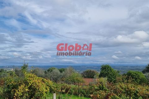 Helårsgrund i Tondela, Viseu, Tondela - € 50.000 | Ref: 189222340 - foto 5