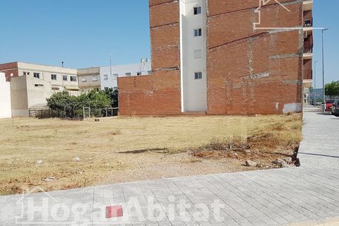 Helårsgrund i Carcer, Valencia - foto 5