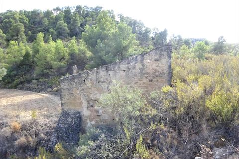 Finca i Maella, Zaragoza, Maella - € 64.000 | Ref: 0818 - foto 28