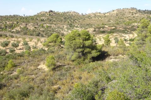 Finca i Maella, Zaragoza, Maella - € 64.000 | Ref: 0818 - foto 31