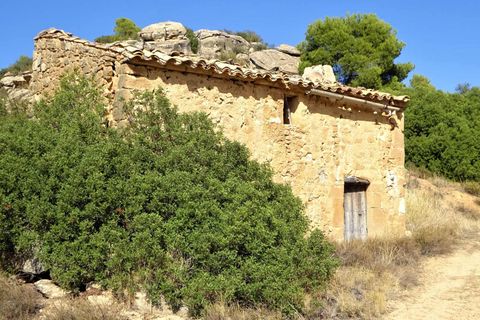 Finca i Maella, Zaragoza, Maella - € 64.000 | Ref: 0818 - foto 6