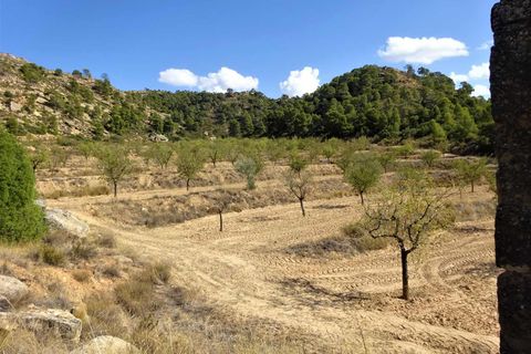 Finca i Maella, Zaragoza, Maella - € 64.000 | Ref: 0818 - foto 11