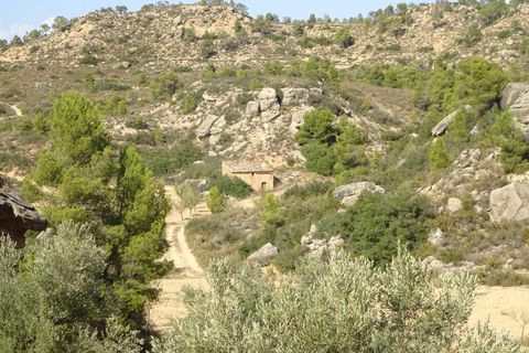 Finca i Maella, Zaragoza, Maella - € 64.000 | Ref: 0818 - foto 32