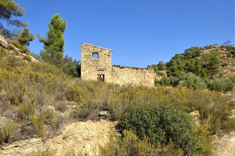 Finca i Maella, Zaragoza, Maella - € 64.000 | Ref: 0818 - foto 14