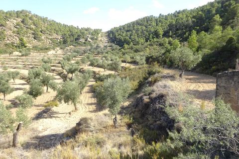 Finca i Maella, Zaragoza, Maella - € 64.000 | Ref: 0818 - foto 29