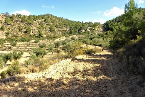 Finca i Maella, Zaragoza, Maella - € 64.000 | Ref: 0818 - foto 24