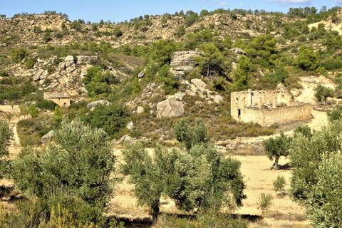 Finca i Maella, Zaragoza, Maella - € 64.000 | Ref: 0818 - foto 25