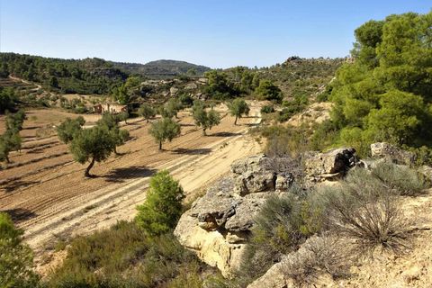 Finca i Maella, Zaragoza, Maella - € 64.000 | Ref: 0818 - foto 21