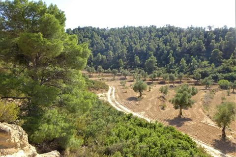 Finca i Maella, Zaragoza, Maella - € 64.000 | Ref: 0818 - foto 18
