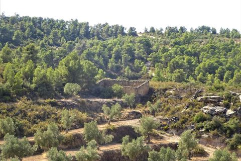Finca i Maella, Zaragoza, Maella - € 64.000 | Ref: 0818 - foto 23