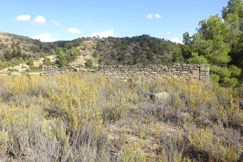 Finca i Maella, Zaragoza, Maella - € 64.000 | Ref: 0818 - foto 27
